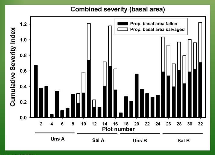 cumulative severity