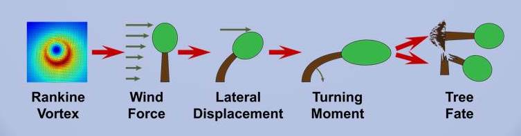 logic diagram