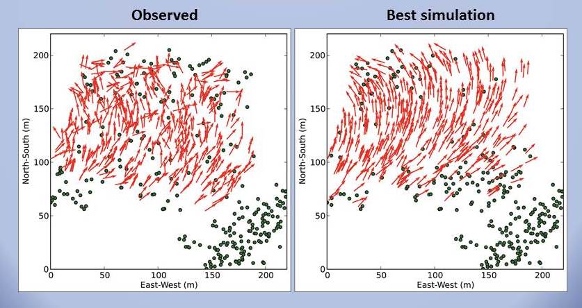 observed simulation